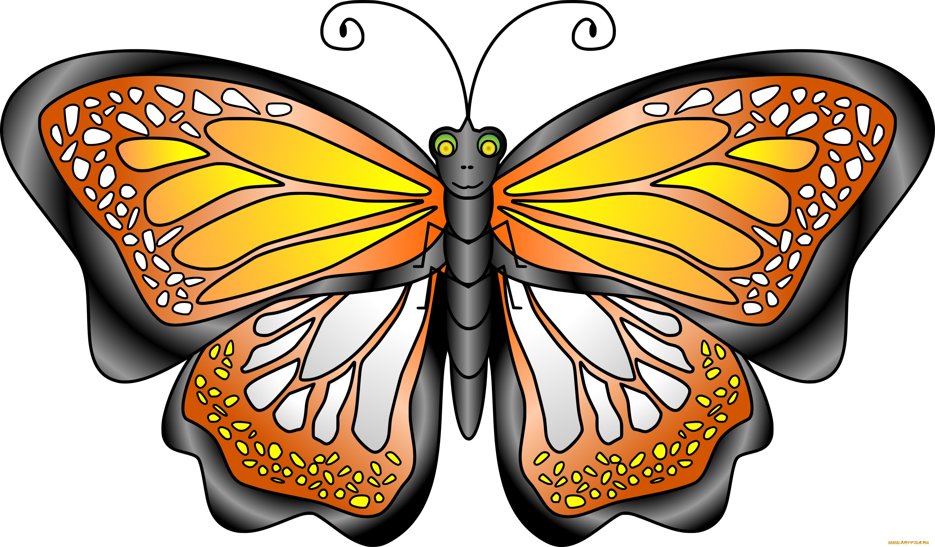  ,  , animals, , 